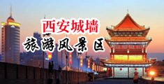 操爆骚货的小骚逼小母狗欠操中国陕西-西安城墙旅游风景区
